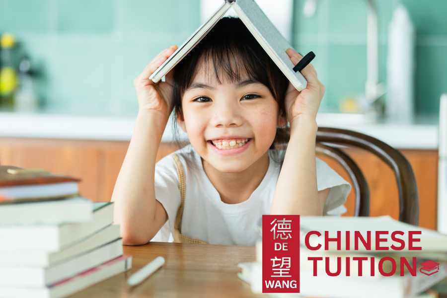chinese-tuition-tutoring-about-us-photo-1-dw-chinese-tuition-singapore