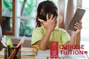tuition-is-a-major-source-of-stress-8-myths-about-online-chinese-tuition-in-singapore-chinese-tuition-de-wang-online-chinese-tuition-singapore