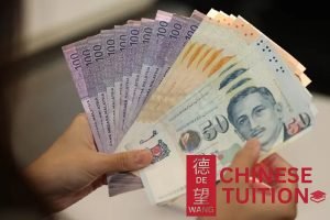tuition-is-expensive-8-myths-about-online-chinese-tuition-in-singapore-chinese-tuition-de-wang-online-chinese-tuition-singapore
